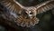 Great Horned Owl (Strix nebulosa). Portrait. Background with a copy space.