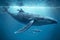 great humpback whale with baby swimming in sea