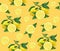 Great illustration of beautiful yellow lemon fruits on an orange background. Water color drawing of lemon. Seamless pattern