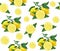 Great illustration of beautiful yellow lemon fruits on white background. Water color drawing of lemon. Seamless pattern