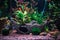 A great jungle planted aquarium