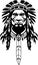 Great lovely Native indians emblem vector art