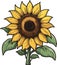 Great and lovely sunflower spring summer art