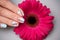 Great manicure with flower in beauty salon, close up