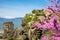 Great Meteoro Monastery on rocks in Meteora through the Branch of pink blossom