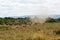 Great Migration with cyclone in Masai Mara National Park