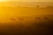 The great migration, Masai Mara, Kenya