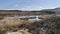 Great moorland view including pool of water