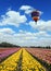 Great multi-colored balloon flies over flower field