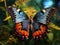 Great Nawab butterfly  Made With Generative AI illustration