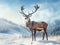 Great noble red deer with big beautiful horns on snowy field on forest background. European wildlife landscape with deer