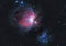 The great Orion nebula