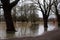 Great Ouse flooded with trees and park bench