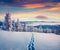 Great outdoor scene of winter mountains. Fabulous sunrise in Carpathians, Ukraine, Europe. Snowy morning view of mountain valley.