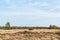 Great plain barren grassland in spring season