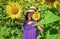 Great plants. yellow flower of sunflower. happy childhood. beautiful girl wear straw summer hat in field. pretty kid