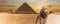 The Great Pyramids of Giza and a bedouin, desert panorama