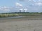 The great salt marsh area `saeftinghe` at the dutch coast in zeeland