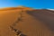 Great Sand Dunes