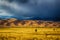 Great sand dunes