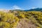 Great Sand Dunes National Park