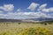 Great Sand Dunes National Park