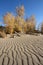 Great Sand Dunes National Park