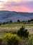 Great Sand Dunes National Park