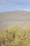 Great Sand Dunes National Park and Preserve