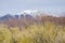 Great Sand Dunes National Park and Preserve with the alpine peaks of the Sangre de Cristo Mountains