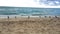 Great shot of beautiful ocean water at beach in Miami with birds