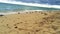 Great shot of beautiful ocean water at beach in Miami with birds