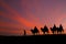 Great sky and caravan travelers riding camels.