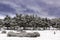 Great snowfall in the Revenga pine forest, in the Sierra de Guadarrama national park