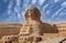 Great Sphinx of Giza near Cairo, Egypt. It is mythical creature with the head of man and the body of a lion. The face of the