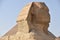 The Great Sphinx on the Giza Plateau