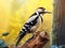 Great Spotted Woodpecker  Made With Generative AI illustration
