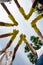 Great teamwork. Vertical shot of eco activists or volunteers wearing yellow protective rubber gloves holding hands