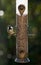 Great tit at a bird feeder