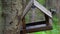 Great Tit Bird Parus major Perching on Bird House Feeder in Forest