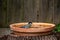 Great tit bird, Parus major, washing feathers in a bird bath