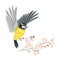 Great Tit with Black Head and Yellow Body Flying Towards Apple Blossom Branch Vector Illustration