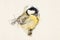 Great tit, Parus major, titmouse bird. Watercolor Illustration.