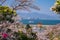 The Great Torii of Miyajima Island, Hiroshima, Japan from mountain view with ferry ship