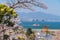 The Great Torii of Miyajima Island, Hiroshima, Japan from mountain view with ferry ship