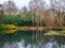 GREAT TORRINGTON, NORTH DEVON - 21 NOVEMBER, 2020: The lake in the RHS garden, Rosemoor.