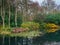 GREAT TORRINGTON, NORTH DEVON - 21 NOVEMBER, 2020: The lake in the RHS garden, Rosemoor.