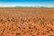 Great view over grassy desert plain and mountain range