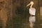 Great White Pelican walking in shallow water