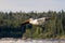 Great White Pelicans (Pelecanus onocrotalus) flying over to Canadian north for mating at Slave River, Pelican Rapids, Ft. Smith, N